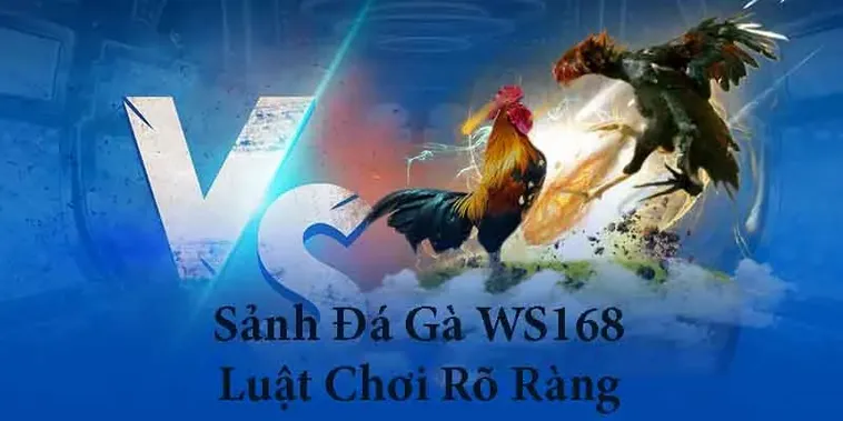 Bí Quyết Chơi Đá Gà WS168 Tại 69VN Thắng Lớn Mỗi Ngày 1 Bí Quyết Chơi Đá Gà WS168 Tại 69VN Thắng Lớn Mỗi Ngày